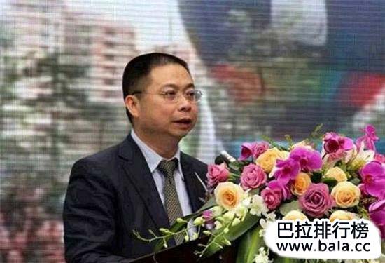 姚振华最新消息新闻,姚振华最新消息新闻，揭秘商界巨头的最新动态