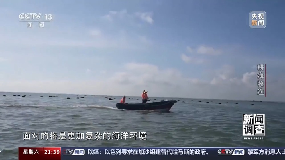 新澳门免费资料查.询,新澳门免费资料查询，探索信息的海洋，助力博彩事业的新机遇